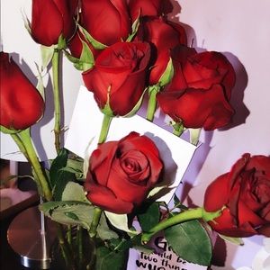 Meet your Posher, Maddie